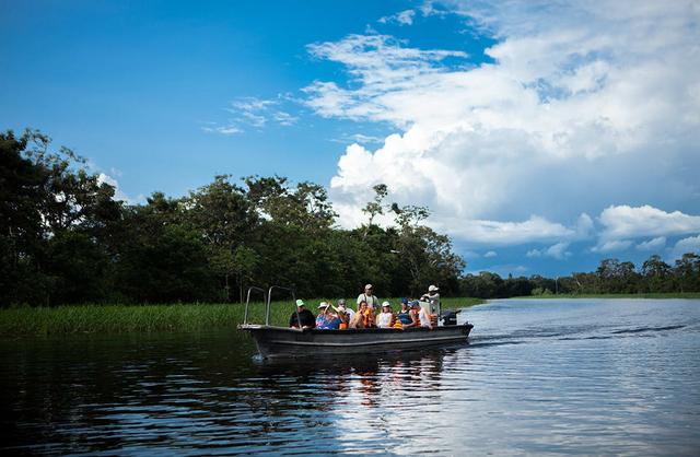 有人说,掉进亚马逊河活不过一分钟,亚马逊河到底有多可怕?