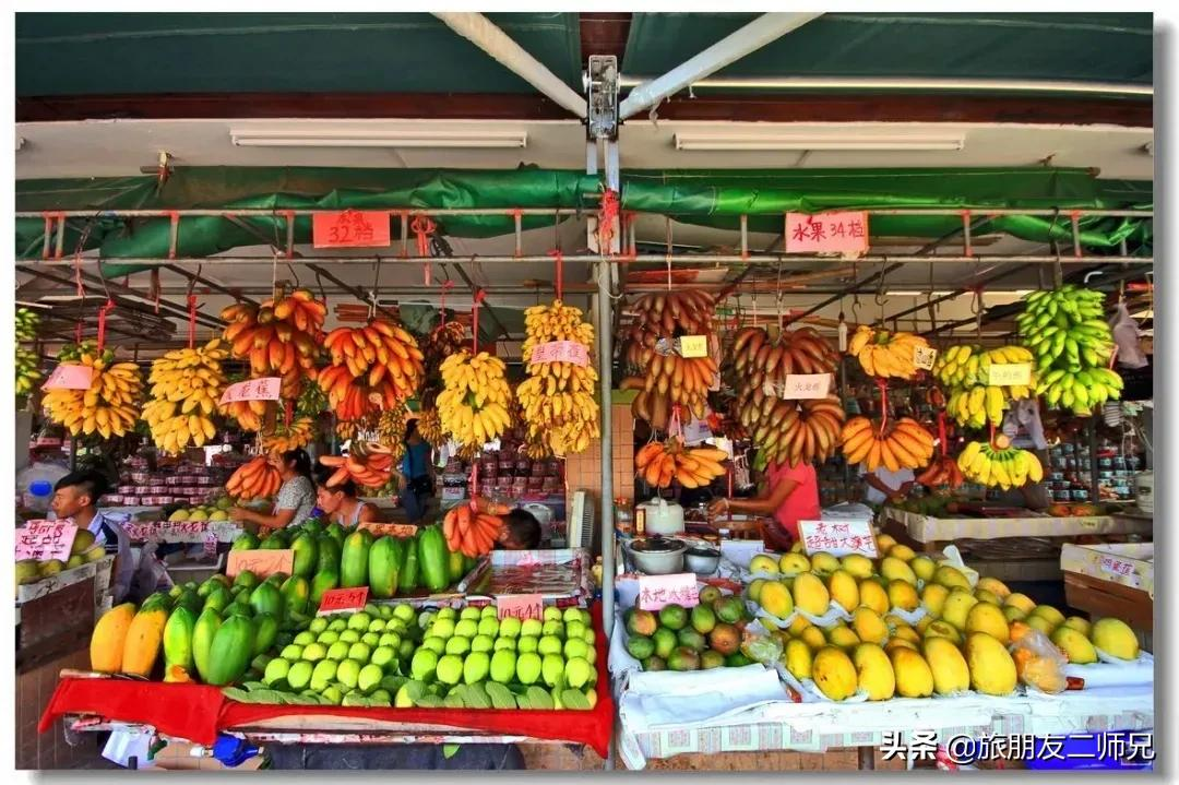 广州南沙湿地公园1天游,打卡十九涌渔家小镇
