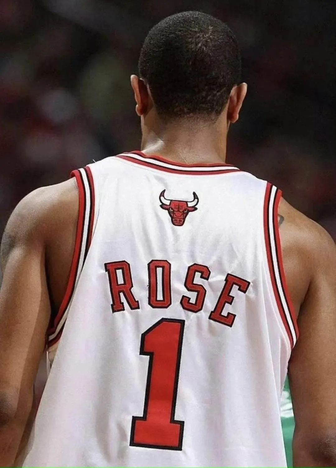 公牛罗斯球衣号码(泪目!