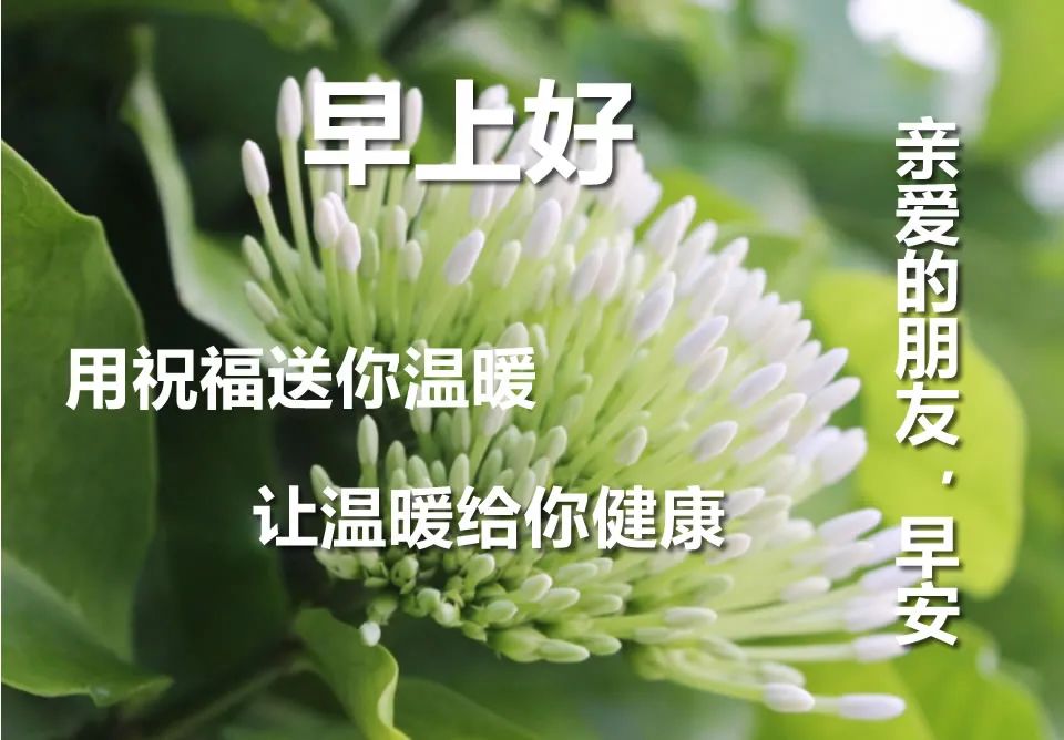 微信早上好祝福图片带字语录 让祝福给你温暖，让温暖给你健康图片