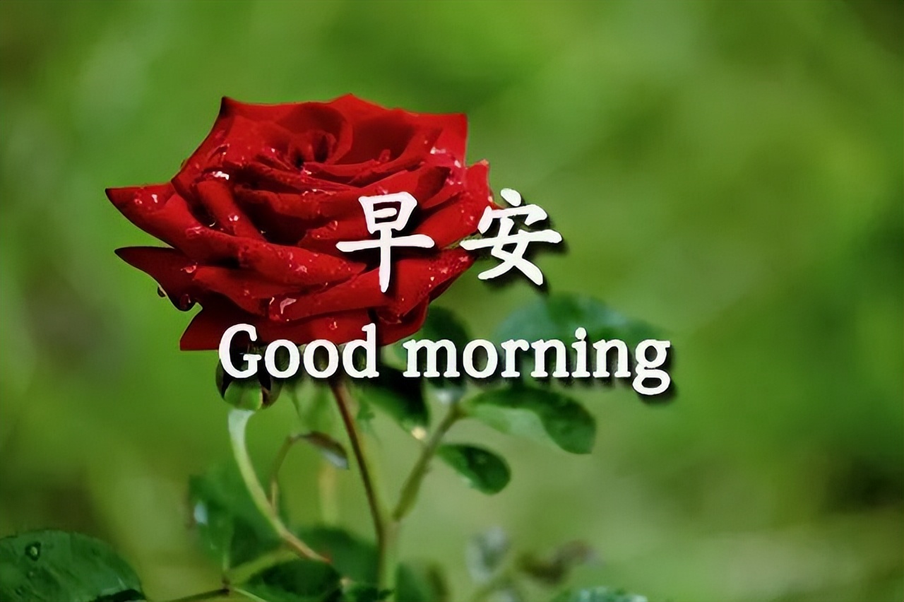 微信星期四早上好问候语及关心话 祝早上愉快 珍藏永久的友谊图片