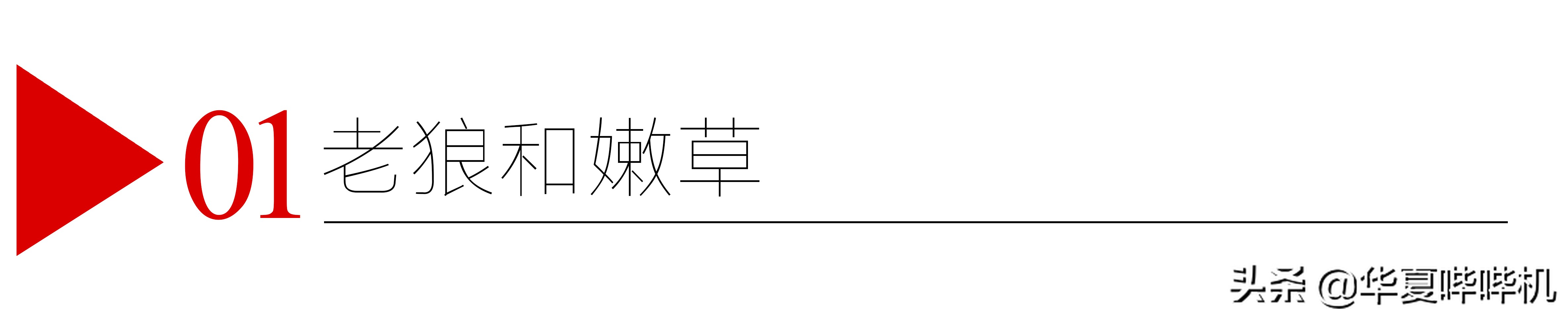 看到王祖贤如今的样子，齐秦心里会痛吗？