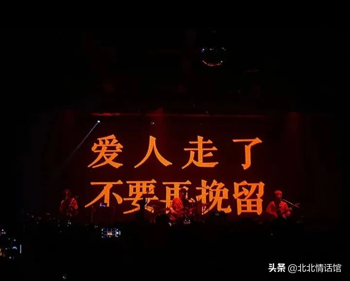 “我已尽力，你请随意”