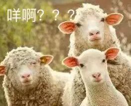 羊毛&羊绒一字之差，你买对了吗？