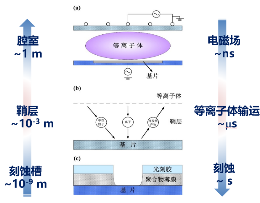 攻关近20载，辽宁科学家率先研发这一“硬核”成果，助力“中国芯”！