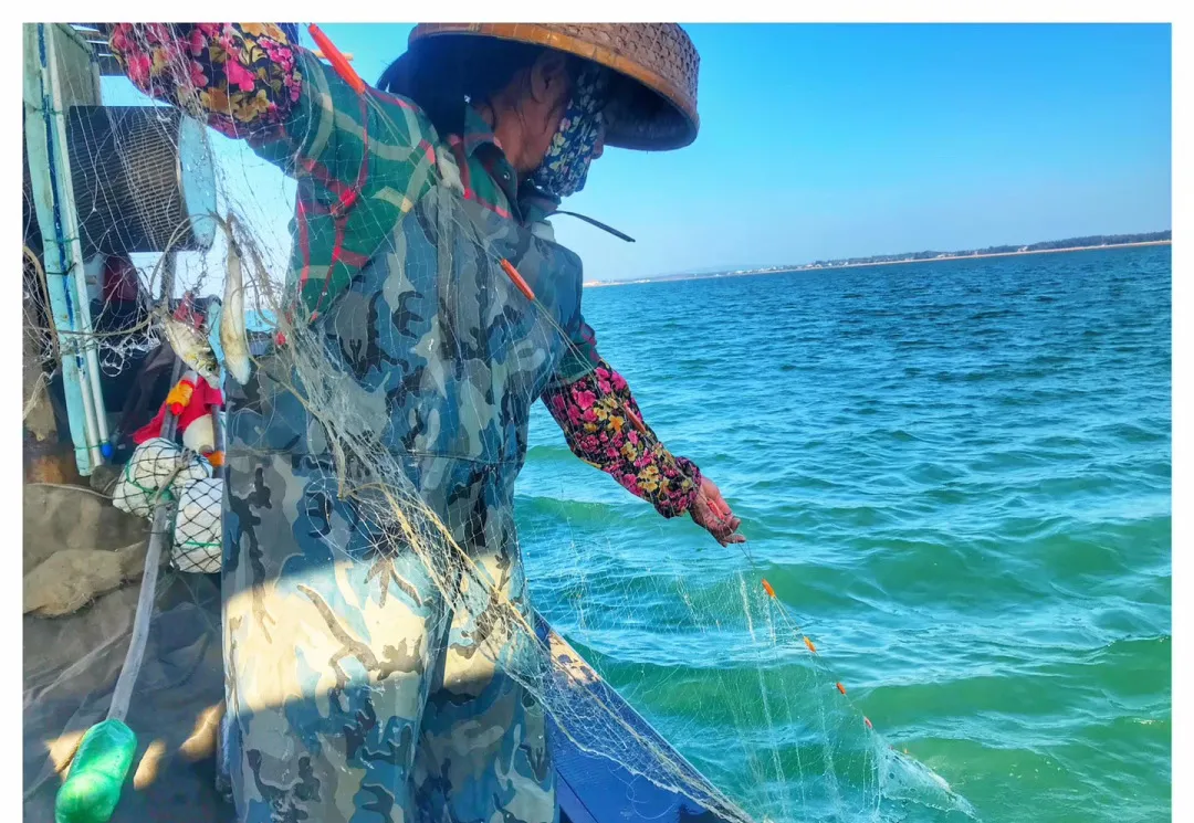 走,去海南过年去!撒网捕鱼、帆船体验、海鲜大餐,开心过大年