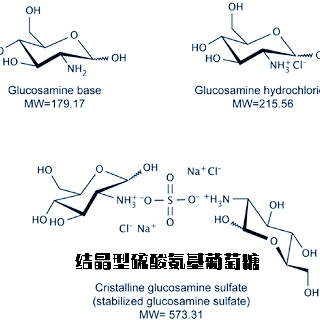 氨糖，是挽救关节的良药，还是一无是处的安慰剂？医生给出真相