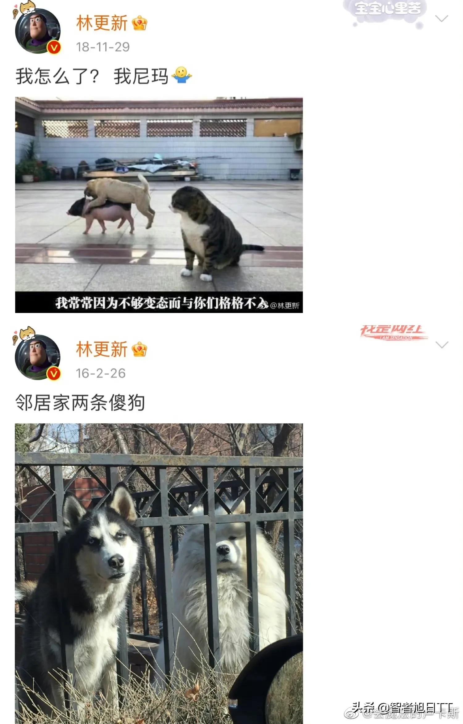 真怀念内娱明星把微博当朋友圈发的那个时代，一个个都很敢说