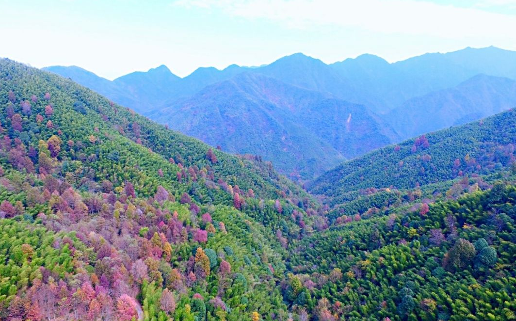 东北林业大学怎么样？四面玲珑，八面威风