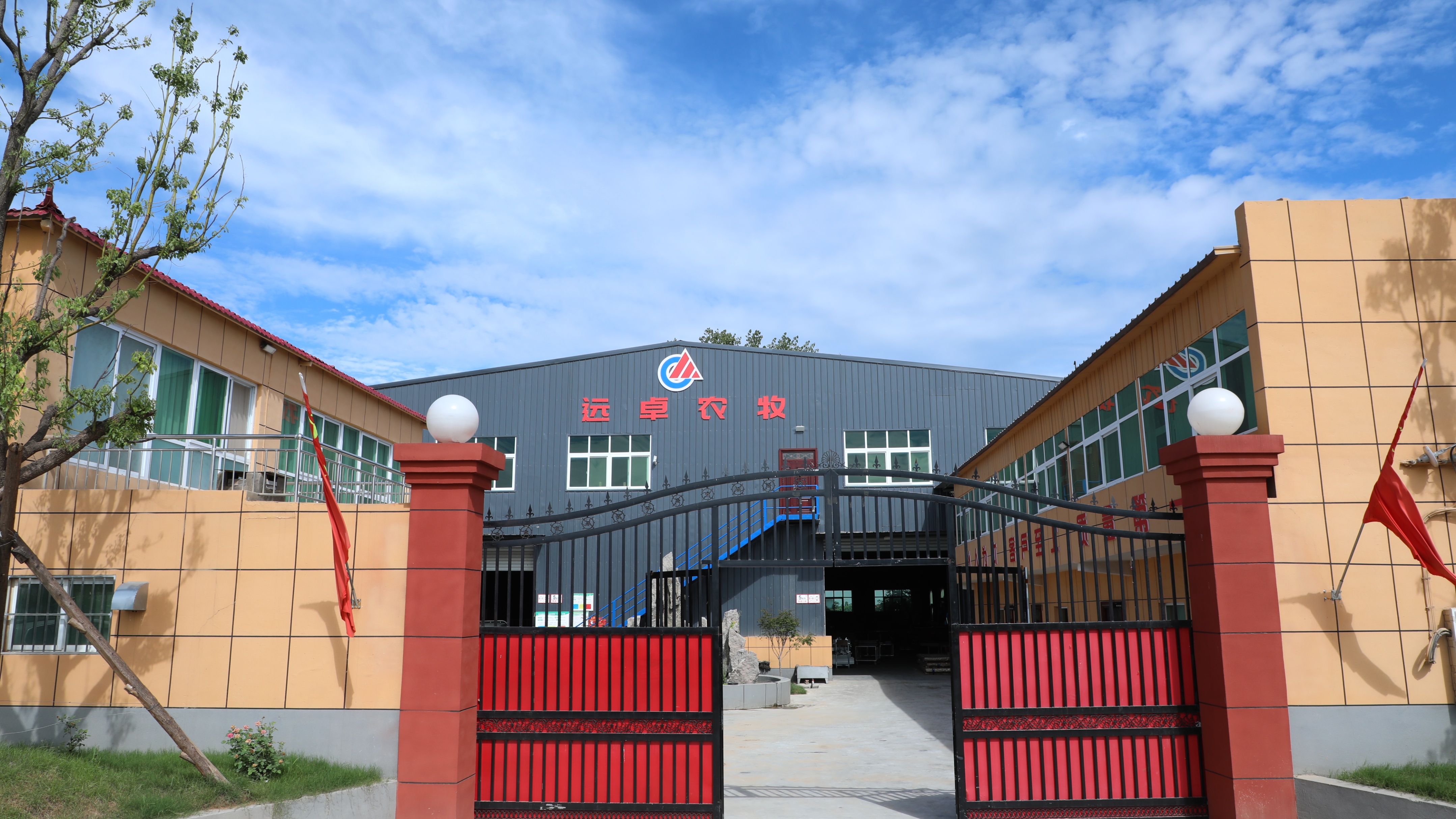 蛋雞夏季養(yǎng)殖的秘訣，很多人都不知道，你做對了嗎？