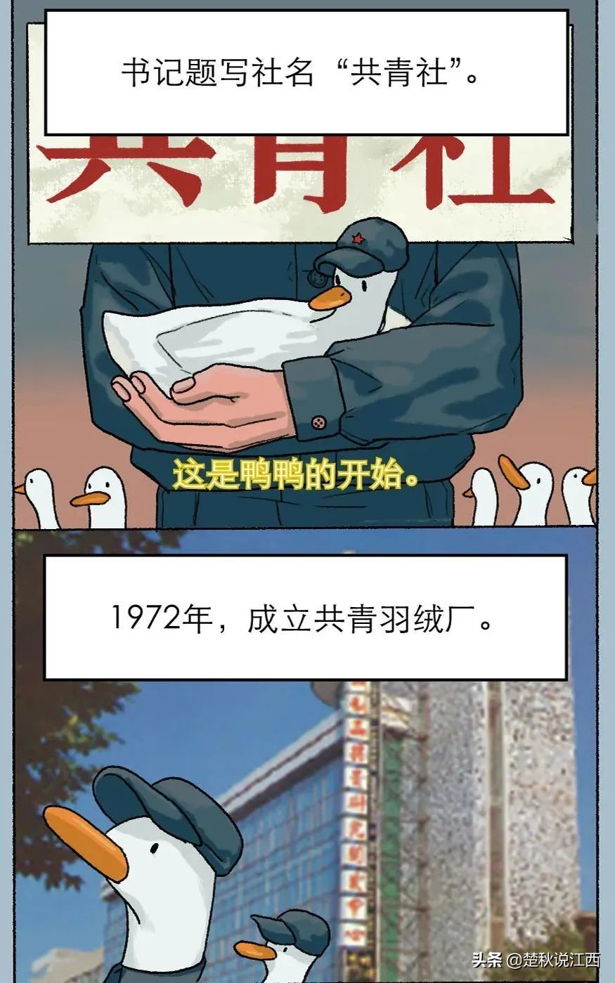 50年品牌发展史，来自江西的这个羽绒服，简直就是国货之光