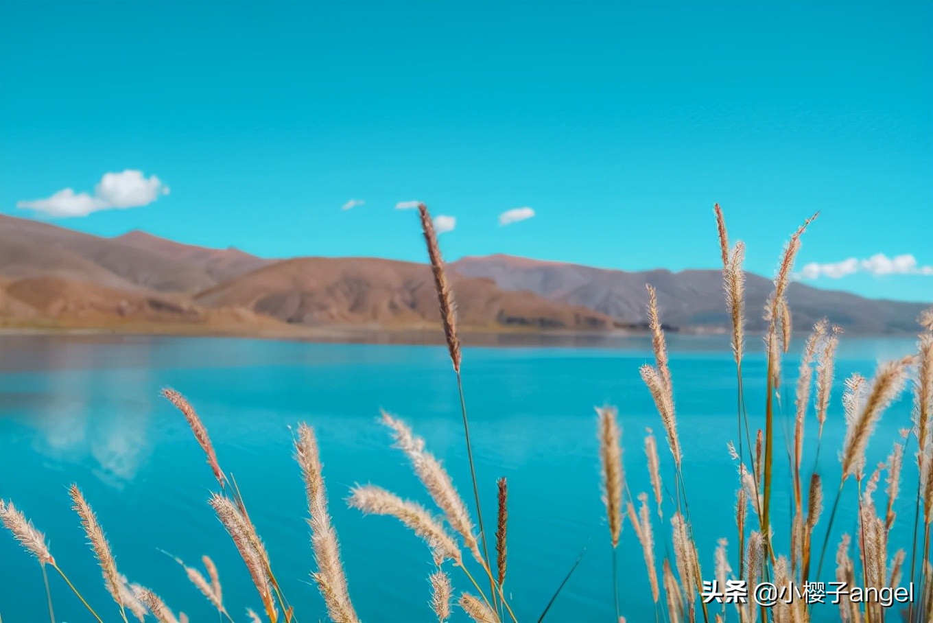 阿里南线｜西藏往西，奔赴滚烫山河