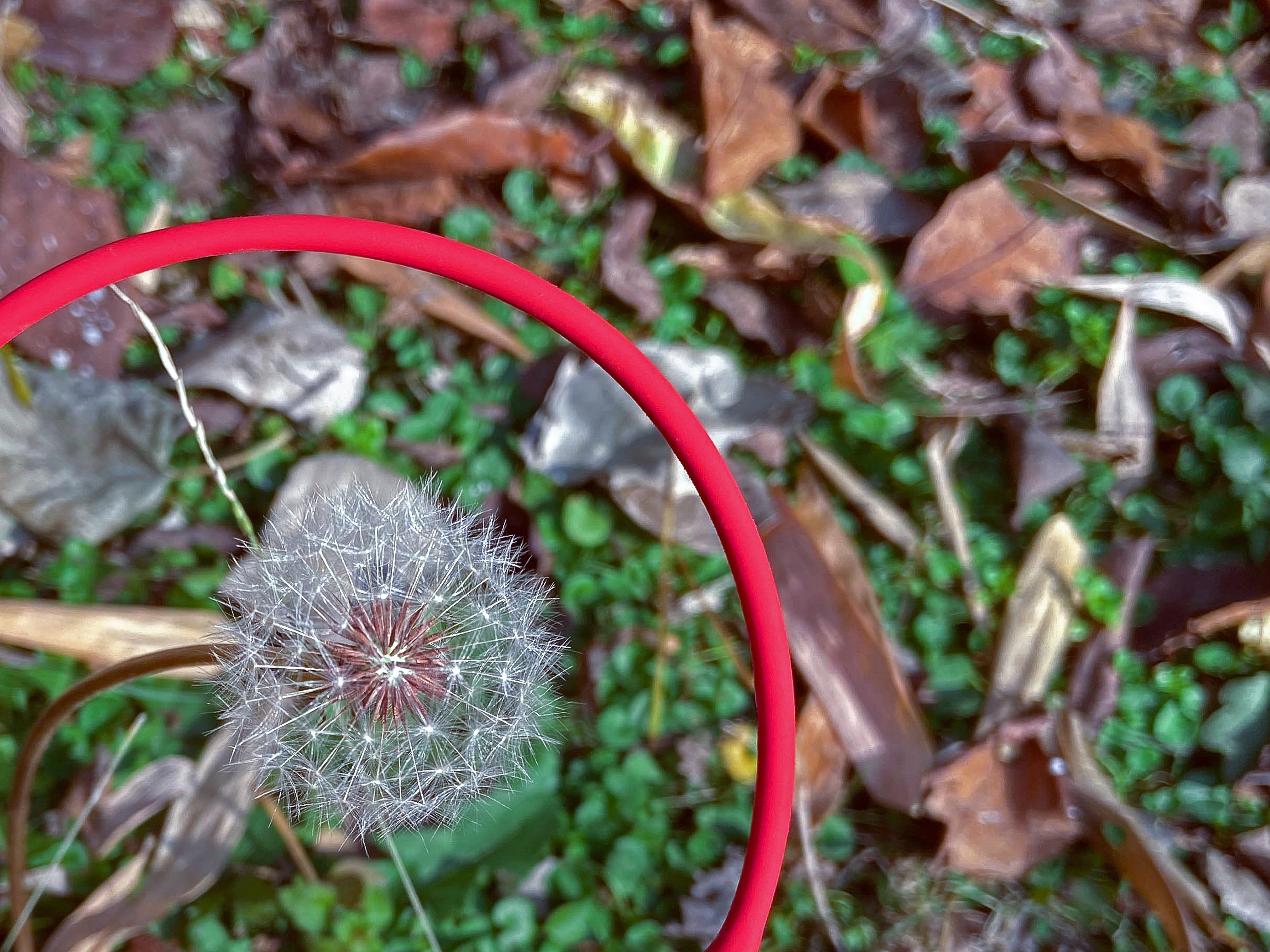 声声入耳不伤听力 健身防水跑步必备—南卡Runner Pro3