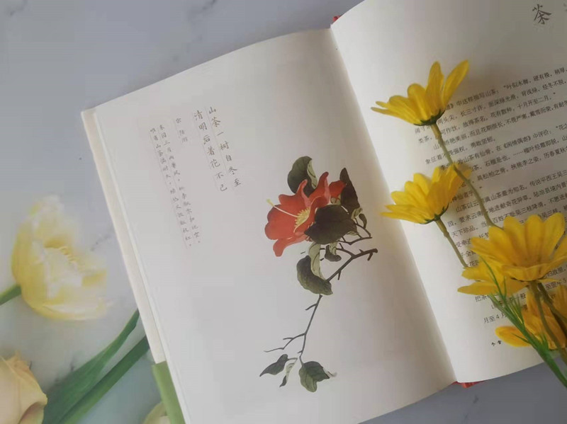 《你好，中国花语》繁花知语意，岁月留情长