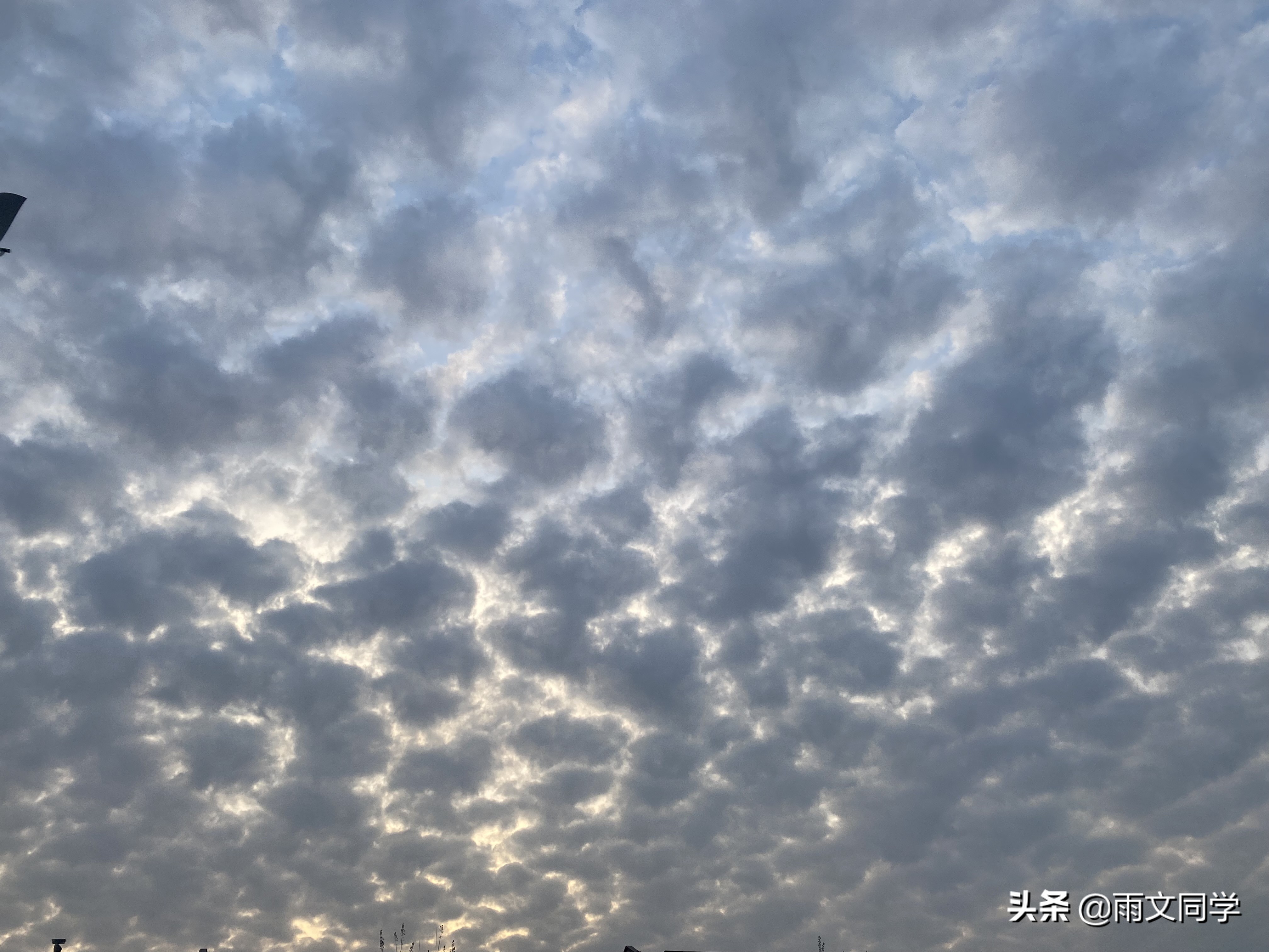 四月总结：勇敢是壮阔至极的浪漫