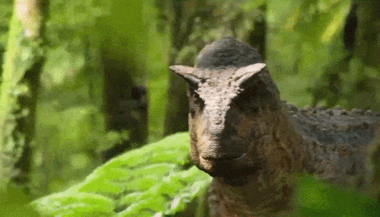 重磅更新！比《侏罗纪世界》还好看的恐龙纪录片终于上映了