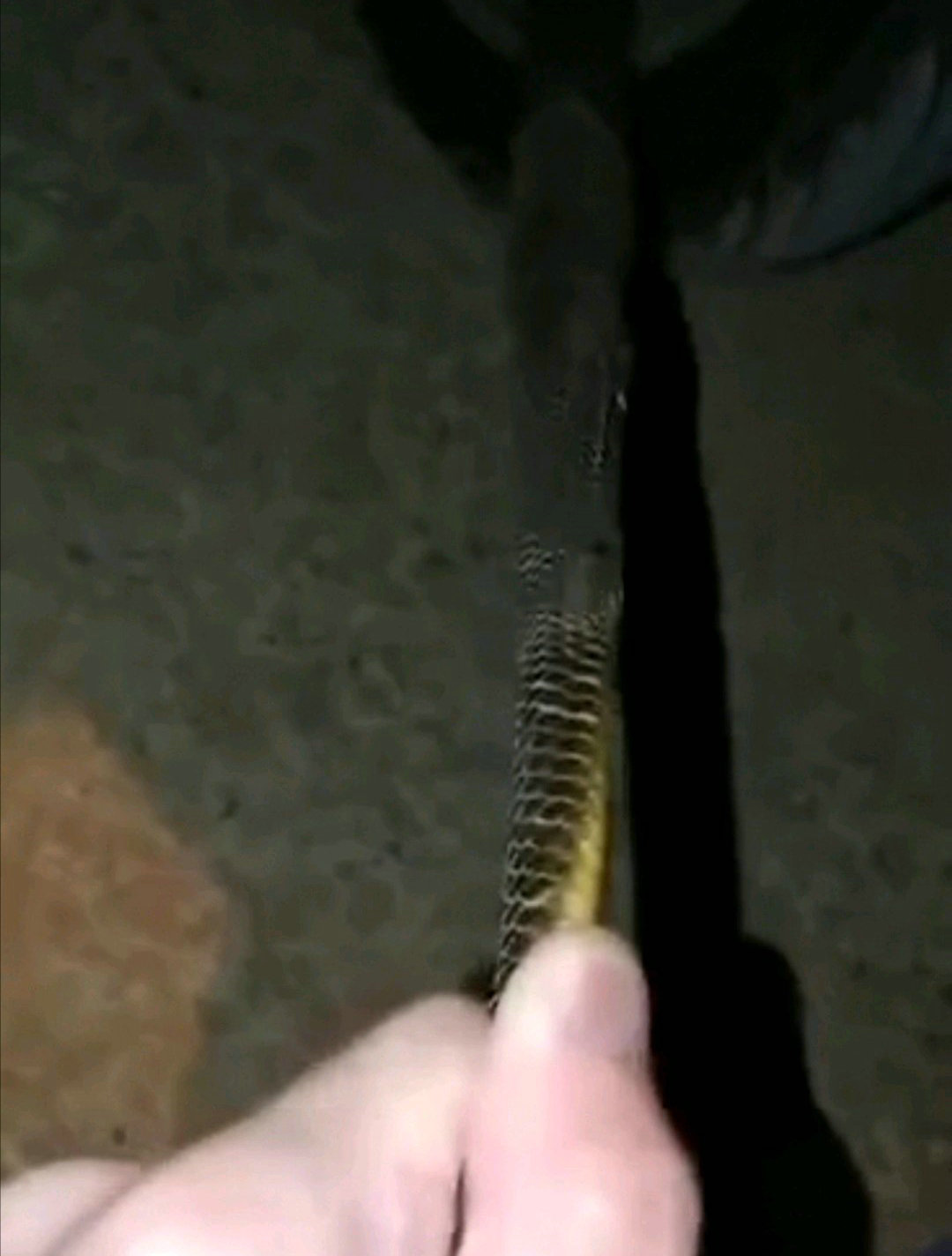 ���ݵ���ҹ���ؼң�����һ���۾���һ·ͬ�У����ѣ�ͷ�����ҽű�