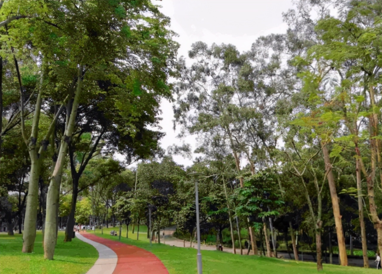 广东这所专科学校要升级为本科，录取分数线不高，毕业生年薪30万