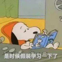 聊天必备表情包（第二弹）