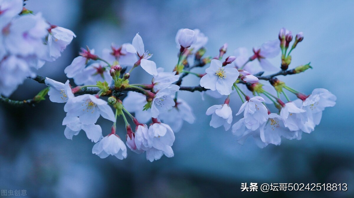珍爱生命，才会幸福一生