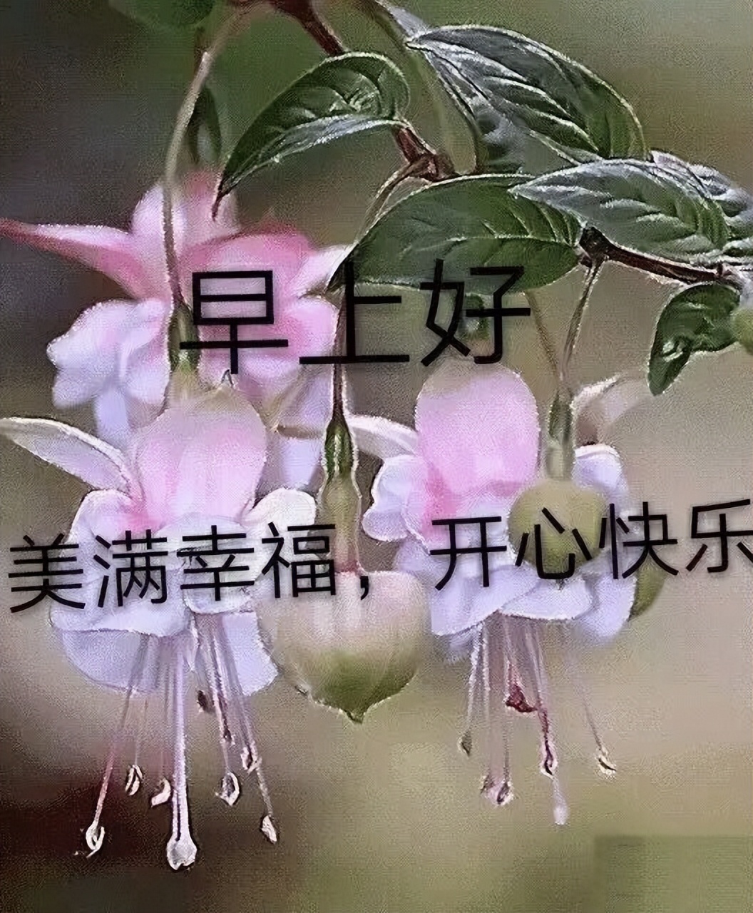早上好的问候语图片 早上好表情包 走该走的路，不退缩，不动摇图片