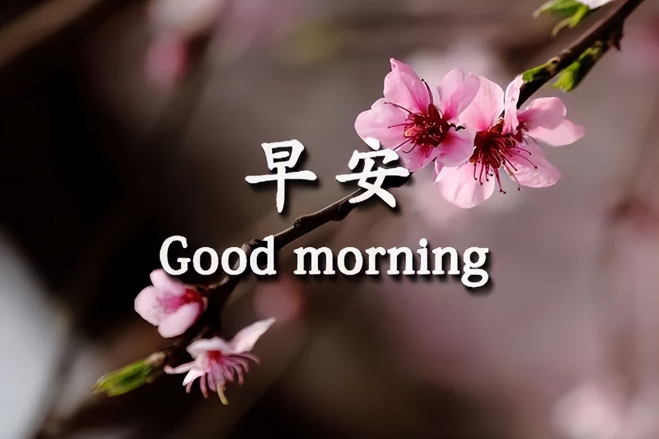 每日更新早上好动态表情图片，早安精神好，心情好人不老图片