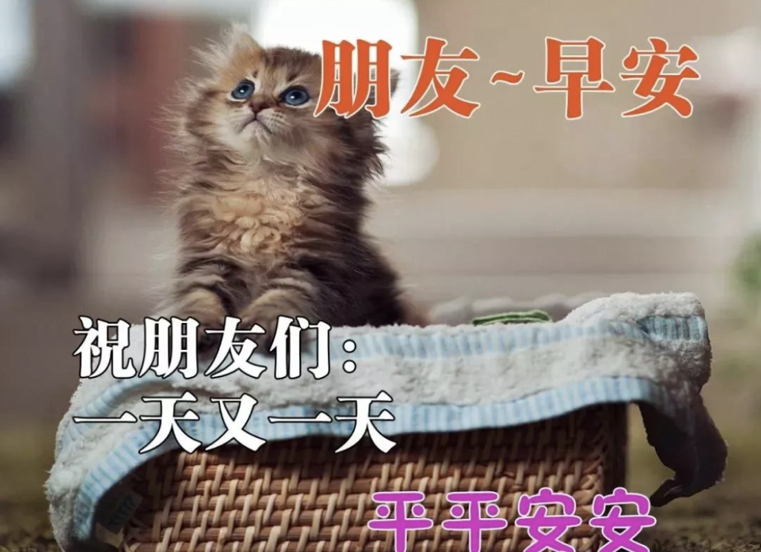 早上好祝福动态表情图片大全，顺心喜悦，开心迎接每一天图片