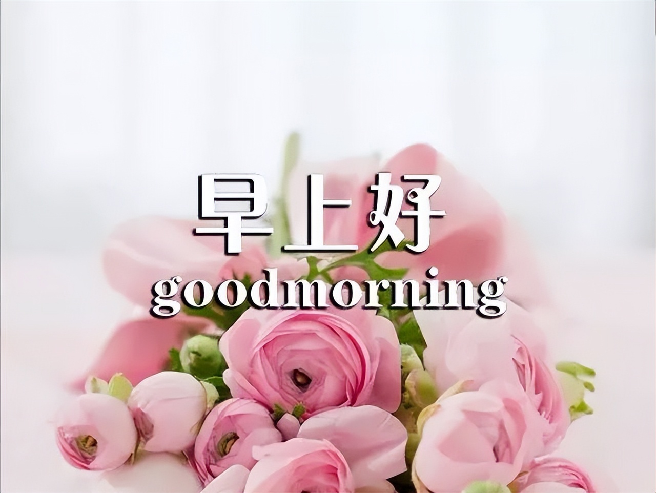 最新早上好表情包，天天好心情，平安快乐每一天，愿你今天好心情图片
