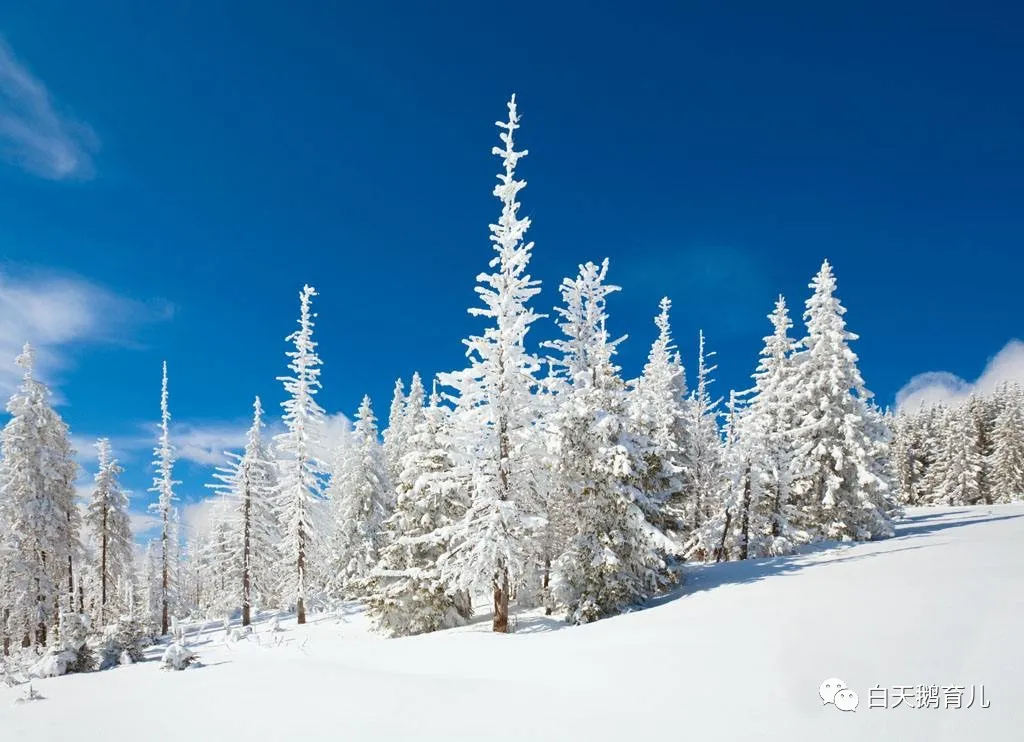 下雪啦！怎样让孩子更好地认识雪？