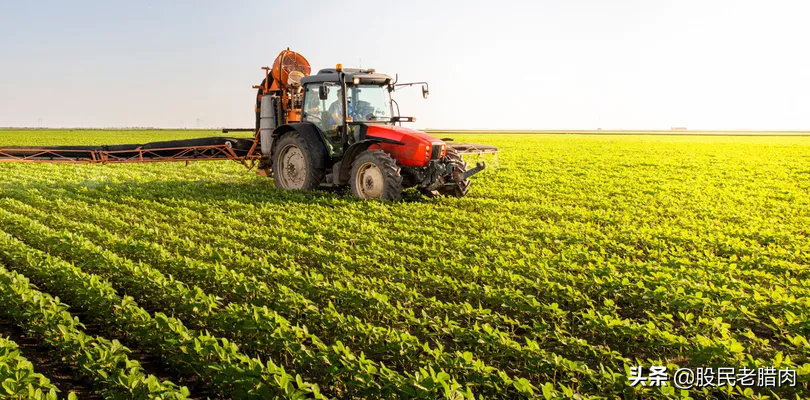 阿根廷的加密货币：为什么阿根廷在2022年拥抱加密货币