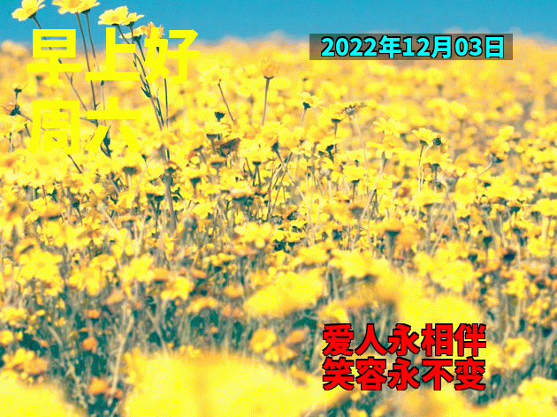 12月3日周六早安 清晨早上好表情包祝福语 祝你幸福永远、笑容灿烂图片