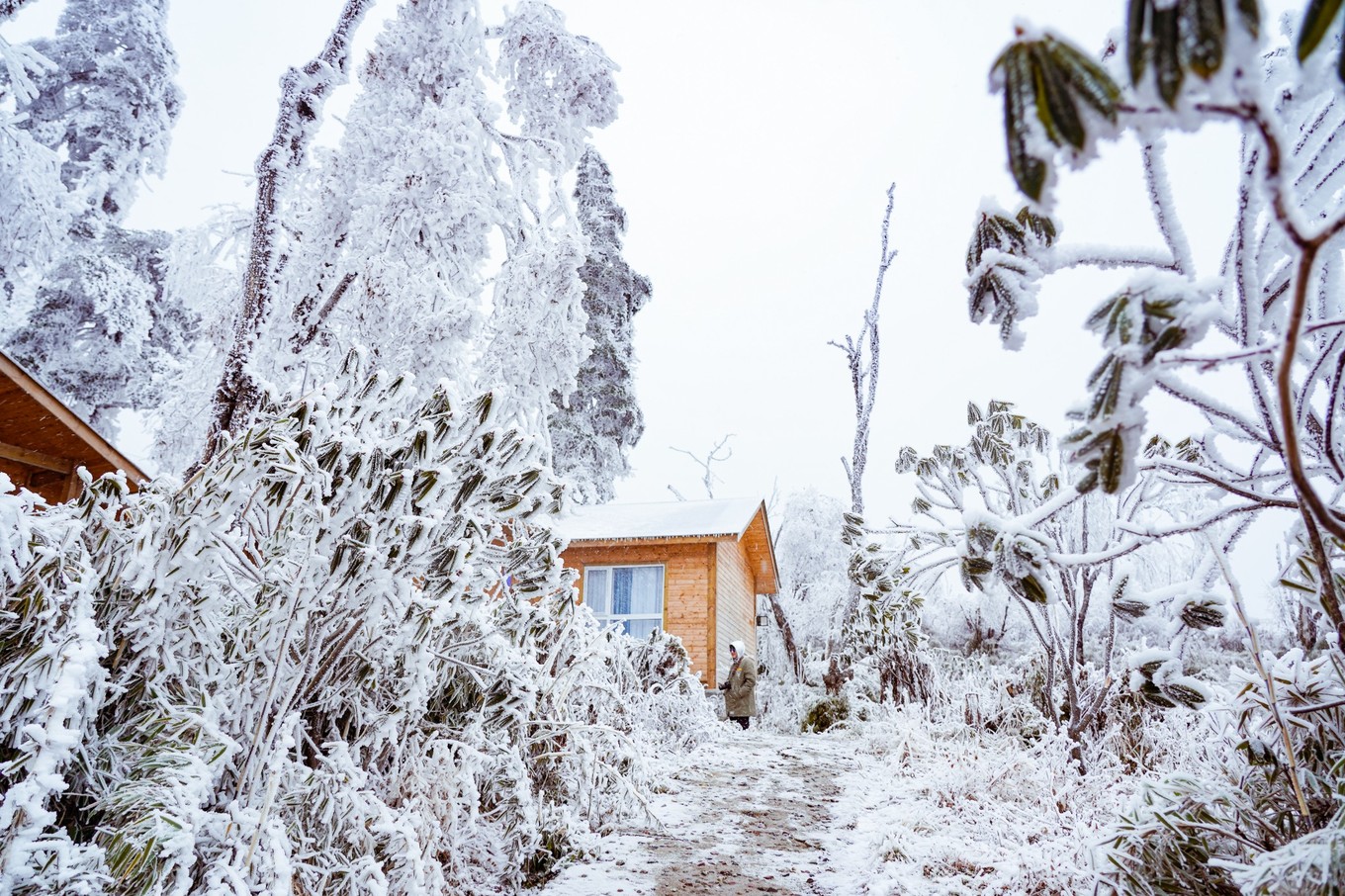 云海之上，贡嘎之巅，王岗坪冰雪之旅