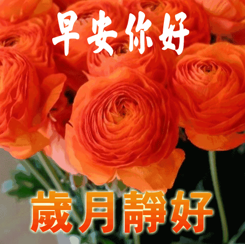 秋天每日更新早晨好美图表情 平安顺心、健康如意图片