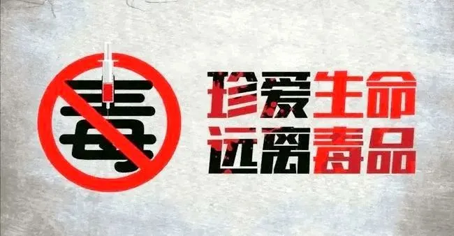 周至公安丨重拳出击 打响新年禁毒第一枪