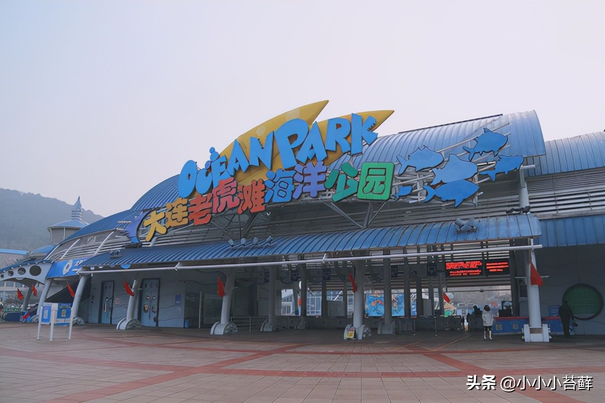 5天4晚海滨之旅，遇见冬日最浪漫的大连