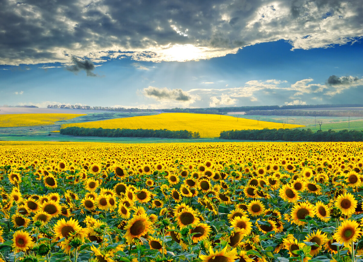 能开导别人,是因为身在局外,开导不了自己,是因为被困在其中-热门资讯