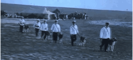 δ֮գľʧ¼пܵĽֻʲô