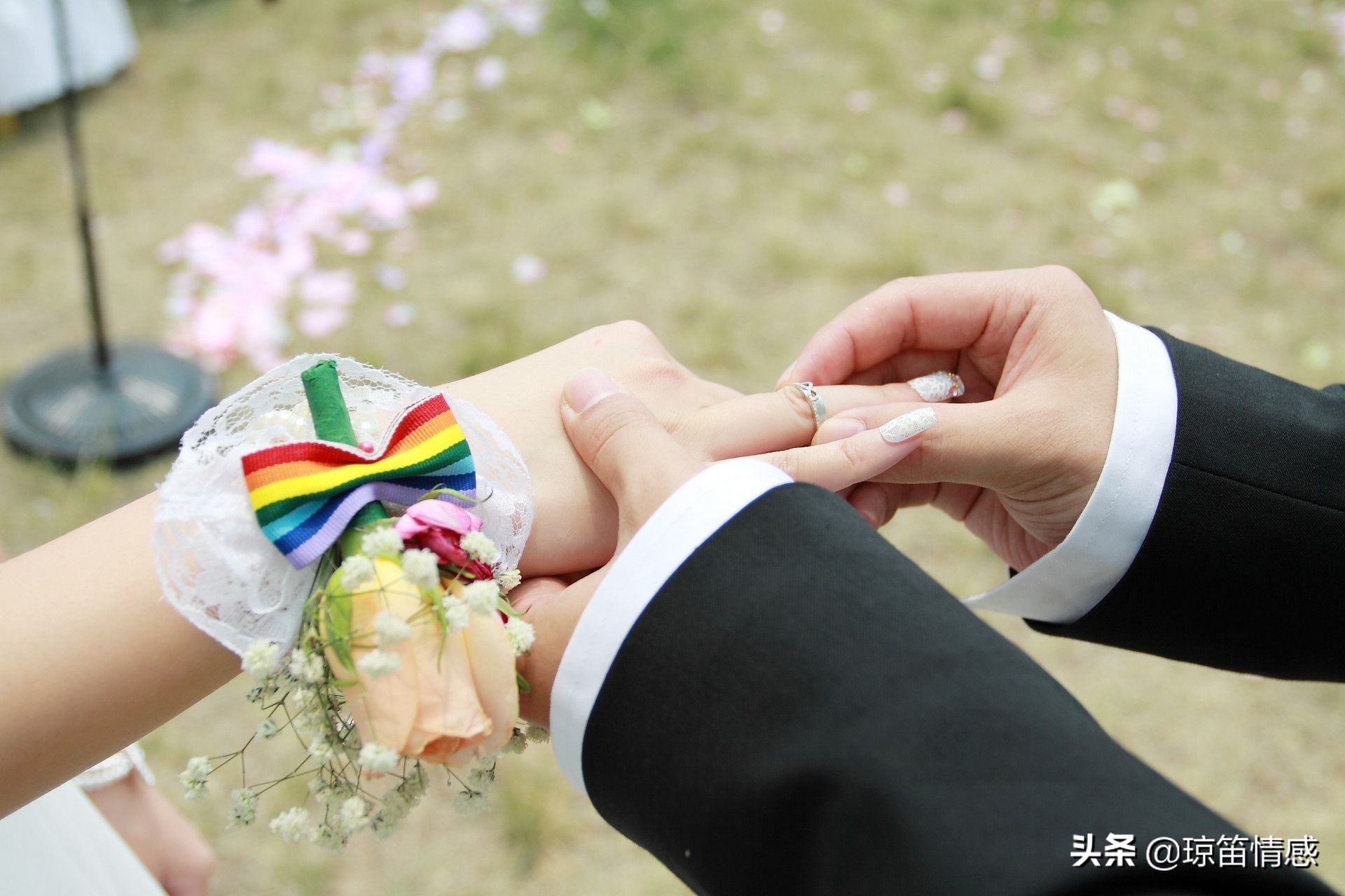 “你真像个黄脸婆”“我还没嫌你穷，你居然嫌我丑”