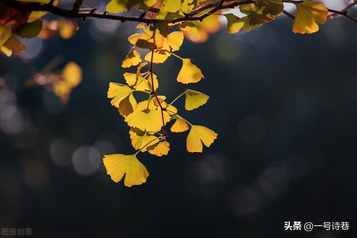 诗词写作方法：格律诗的押韵需要避开哪些误区？详细总结在这里