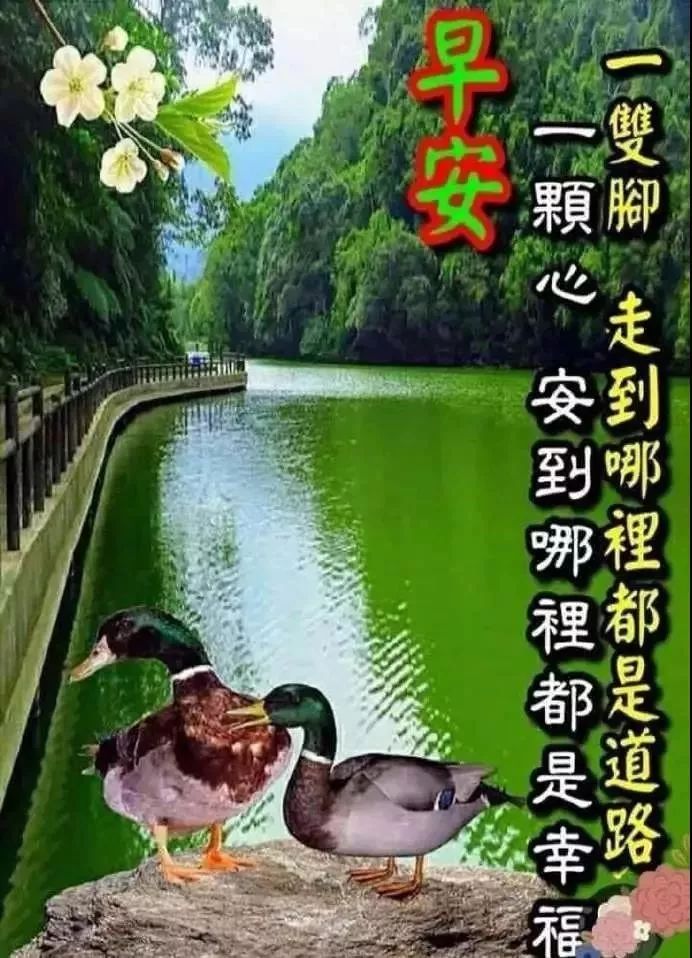 周末清晨祝阳光早上好问候祝福语 祝你幸福 事事都美好图片