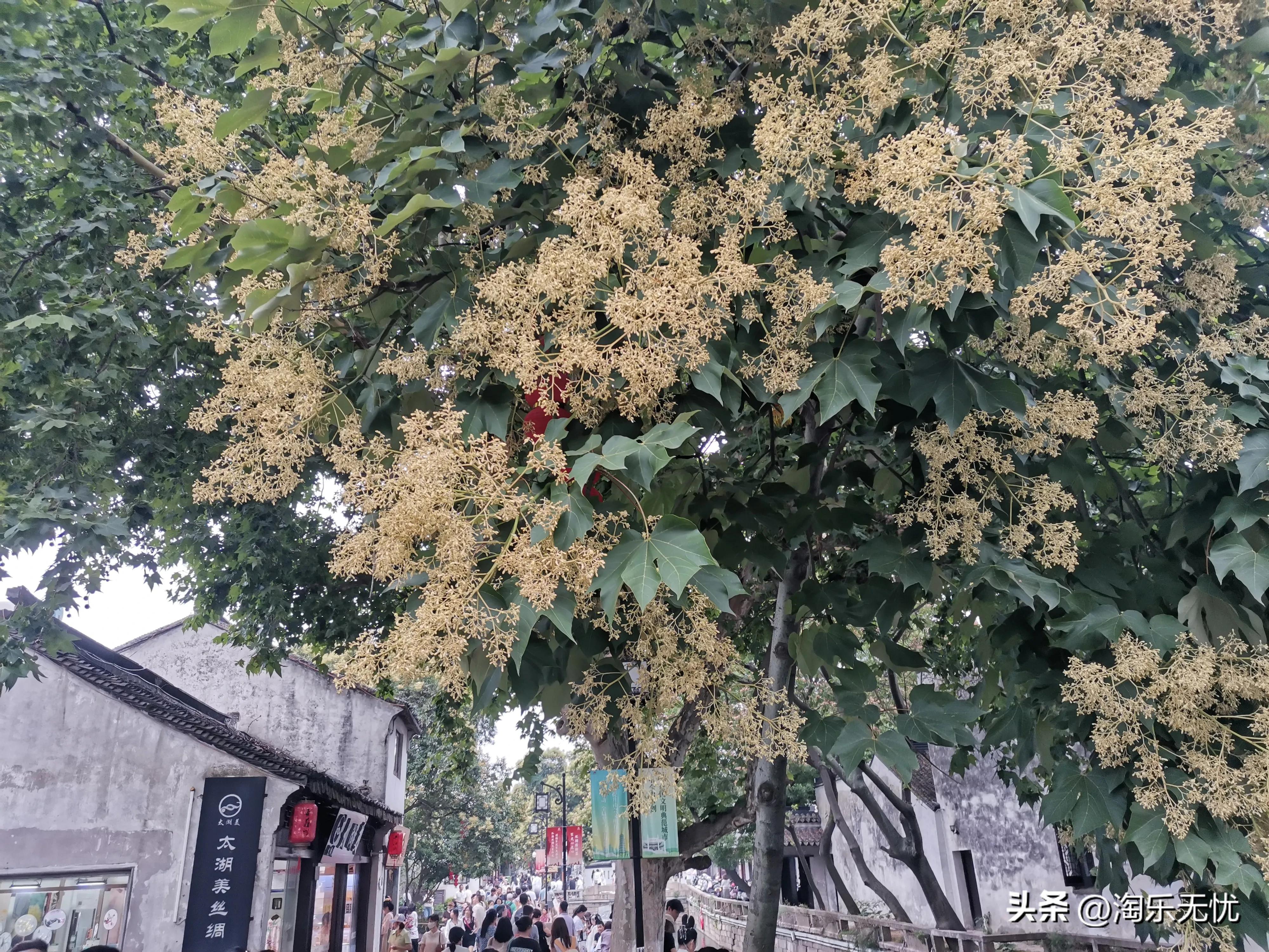 在苏州平江历史文化街区来一次穿越时空的旅行