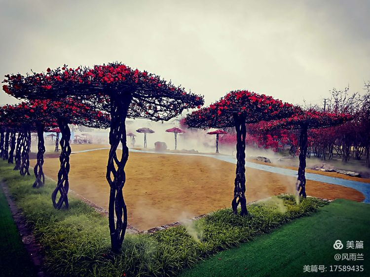 烟雨蒙蒙问花村 作者：武术兰