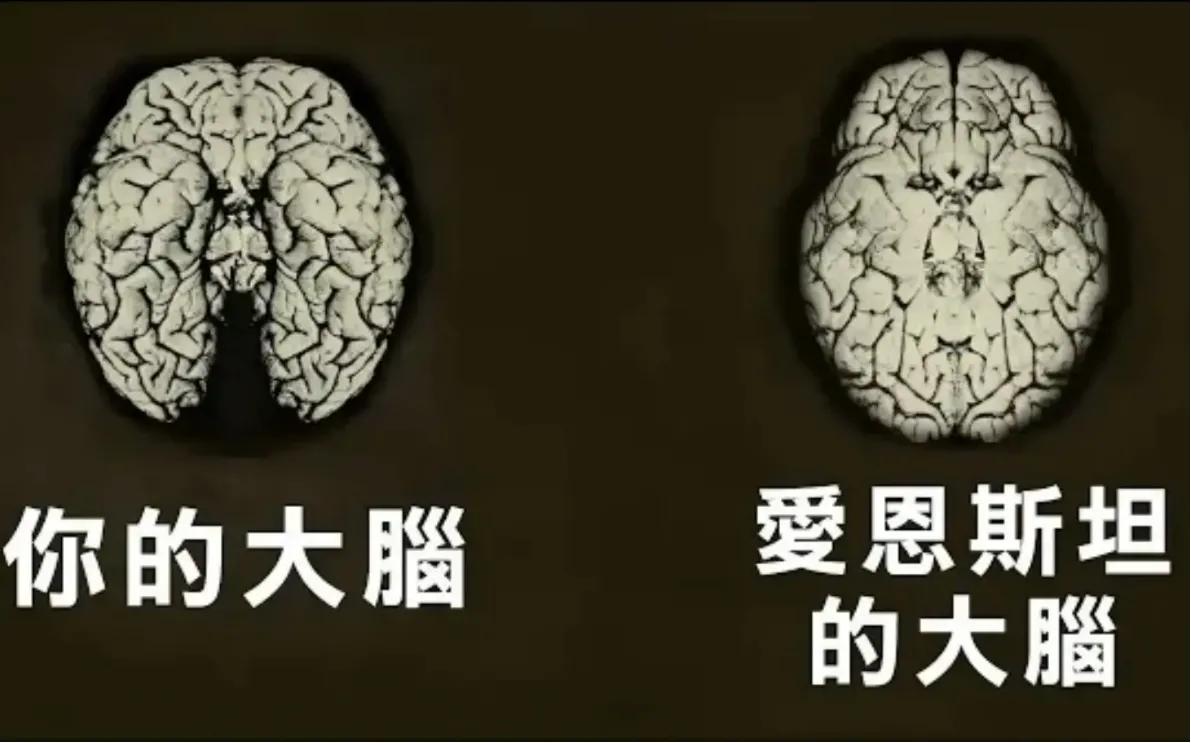 人类的大脑其实很可怕(人类大脑相当于多少G内存？原来一直以来我们都把自己看扁了)