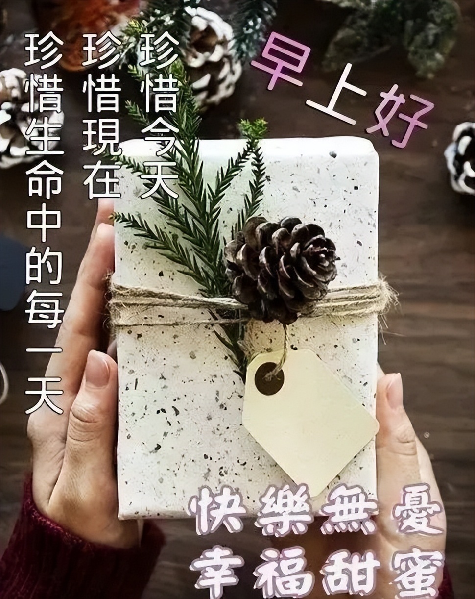 周二早上 早晨好暖心祝福语图片 成长是一种经历，成熟是一种阅历图片
