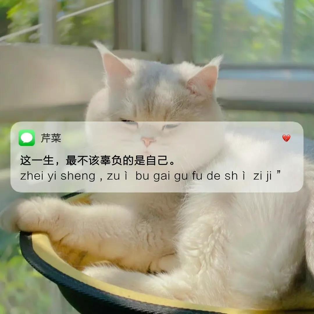 文案｜发朋友圈的文案短句