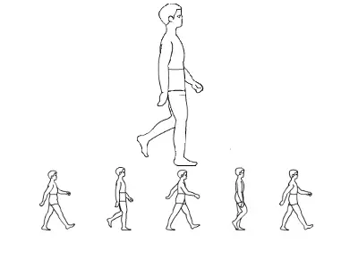 一天走一万步能减肥吗（每天10000步我瘦了10斤）