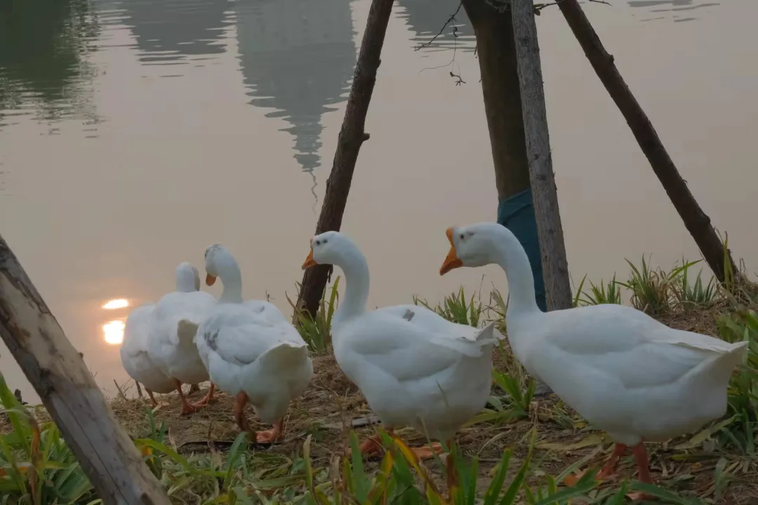 优微推荐丨入股不亏！快来一起探索生活中的小美好吧