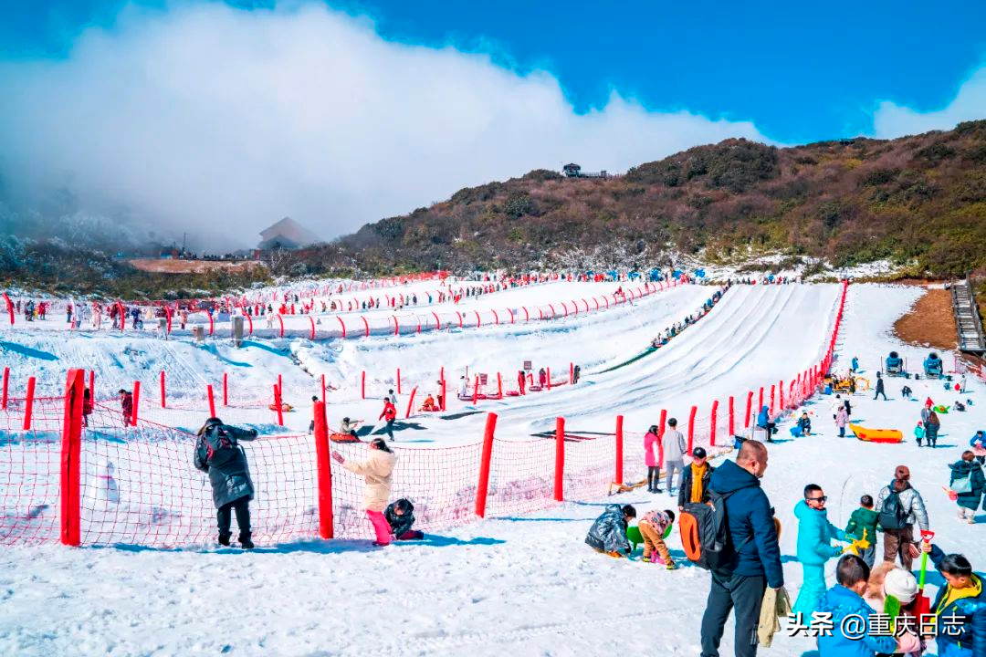 全民上冰雪，助力冬奥会！金佛山滑雪享特价，延续冰雪运动激情