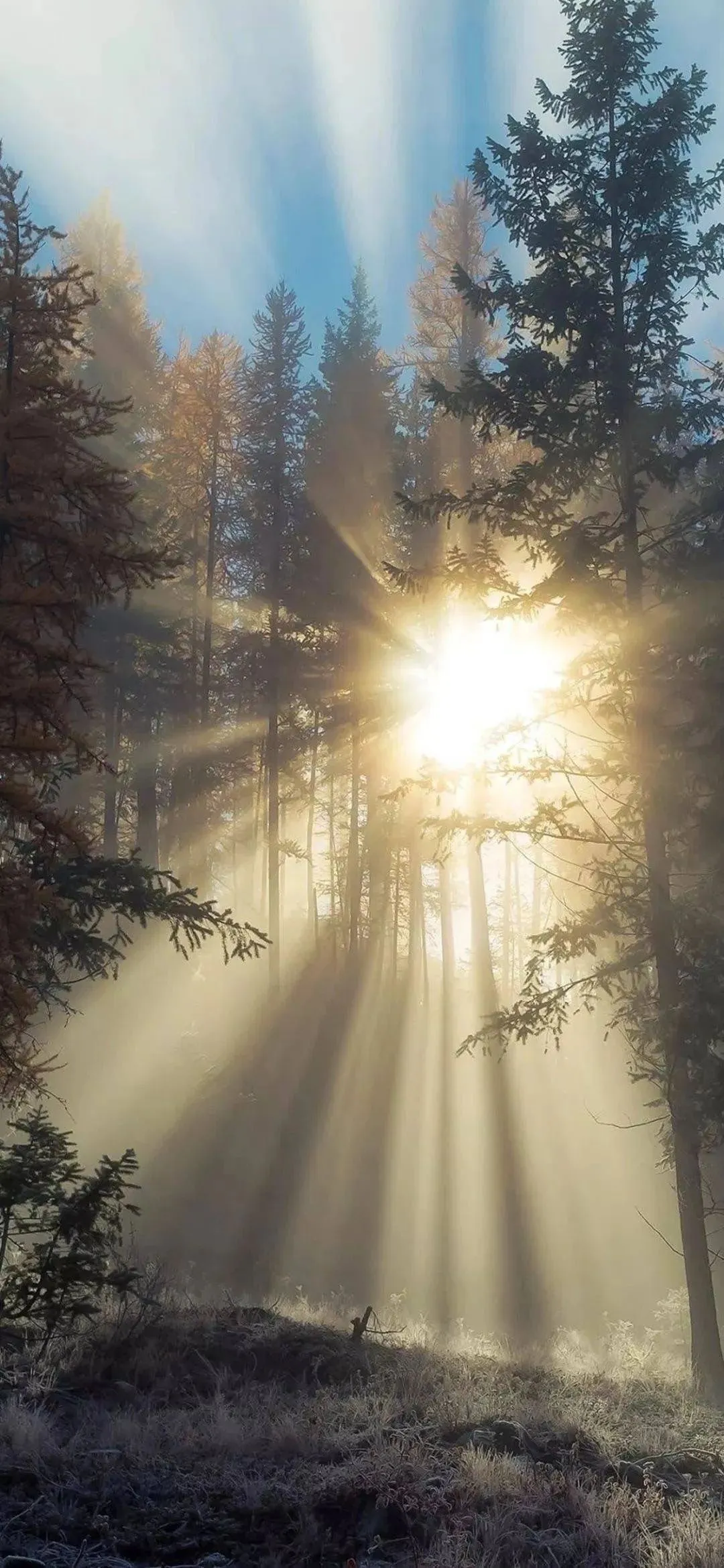 这段时间一直在规划碎片时间，把时间充分利用起来，去学习也好，去锻炼也好