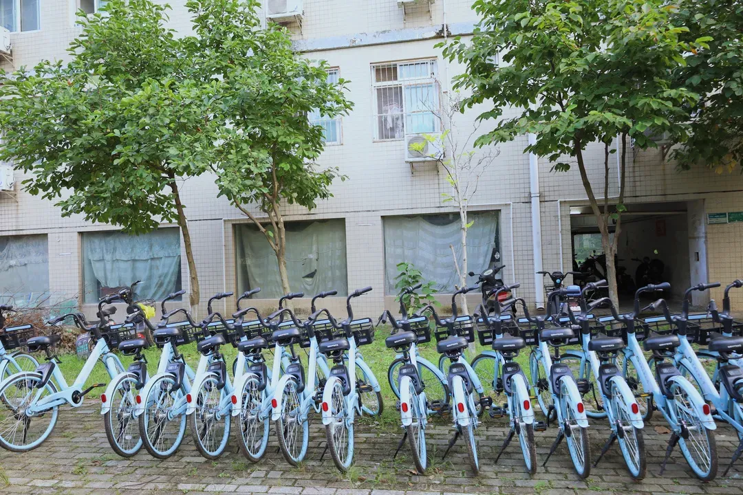 大变样！图书馆高大上，宿舍焕然一新，湖北这所高校软硬件全面升级！